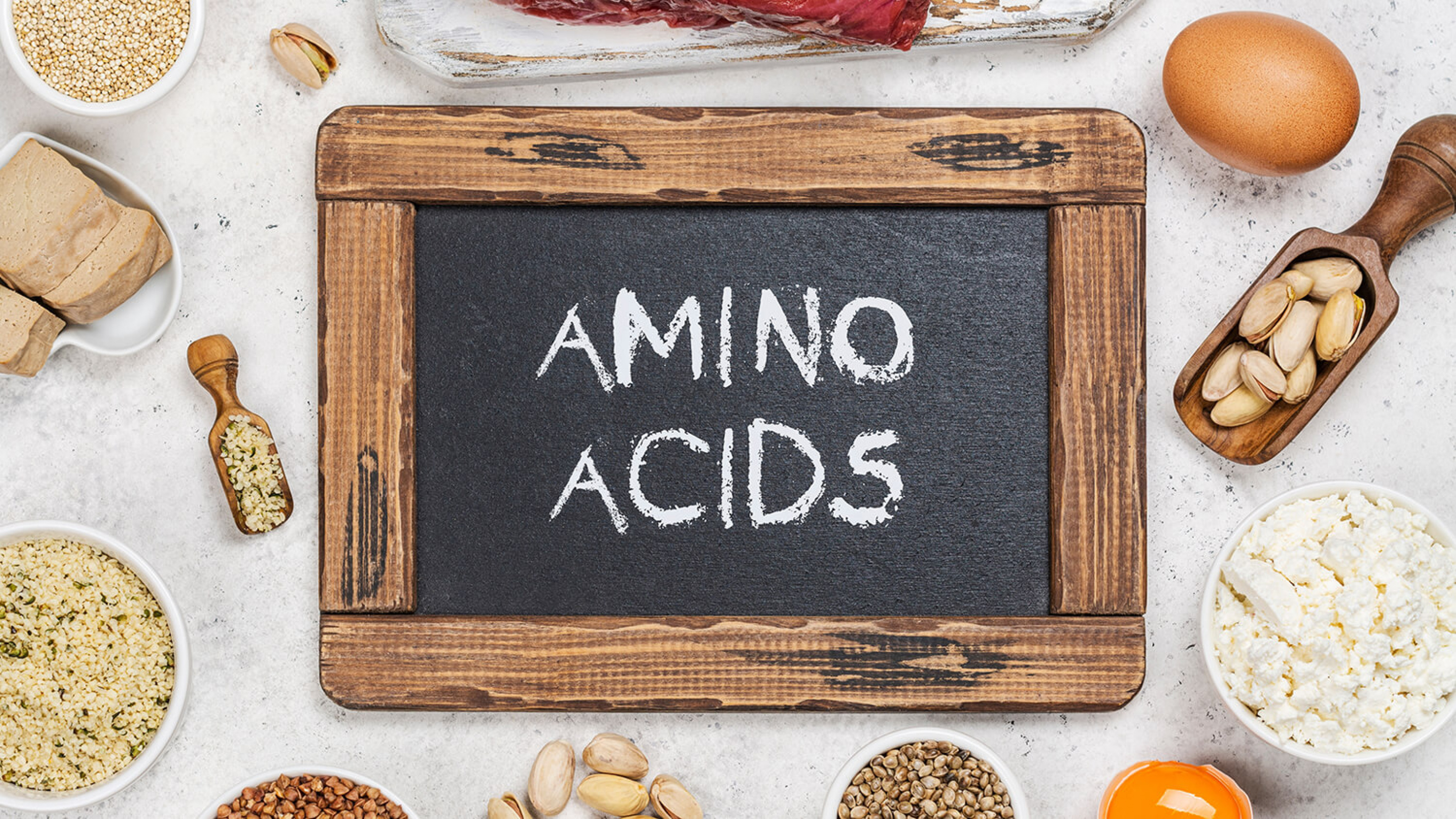 Den store guide til aminosyrer