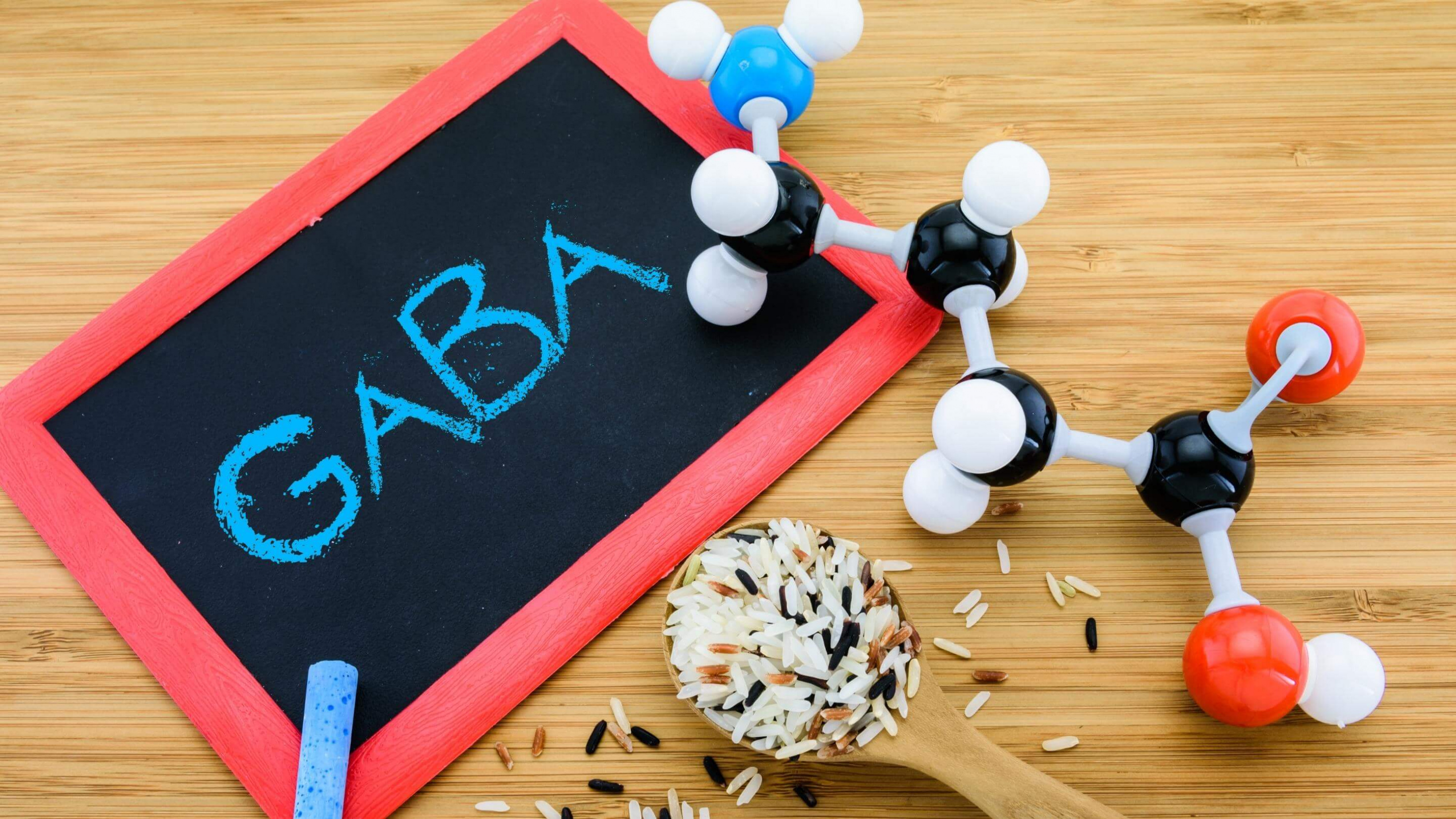 Sdan kan GABA lindre stress, angst og uro