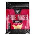 BSN True Mass 1200, 4800 g (Vanilla Ice Cream)